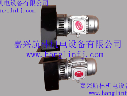 DF耐溫風(fēng)機